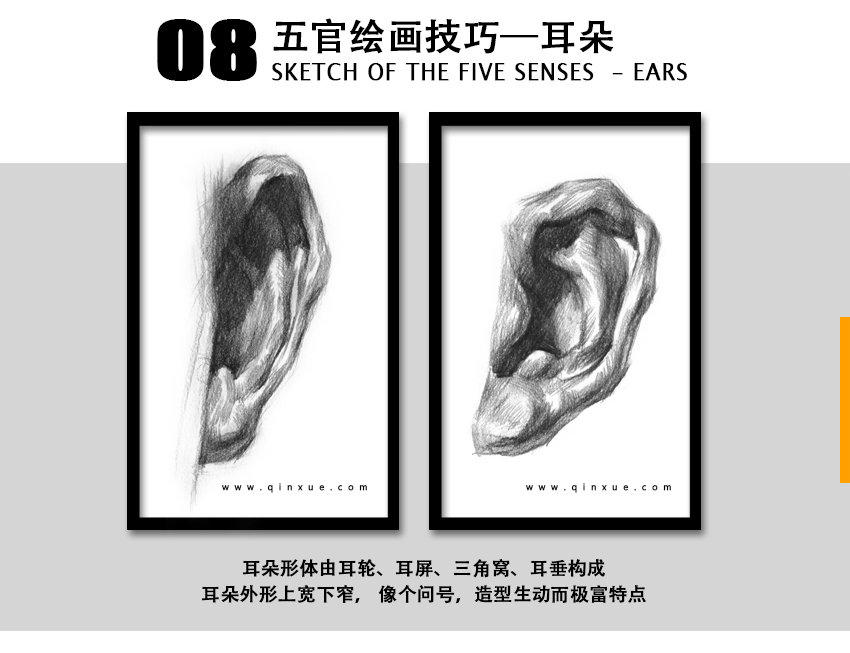 素描高级教程（人像篇）——设计与绘画必备职业表现手段_系统全面的平面设计培训、自学教程推荐,尽在平面设计学习日记网(www.xxriji.cn)