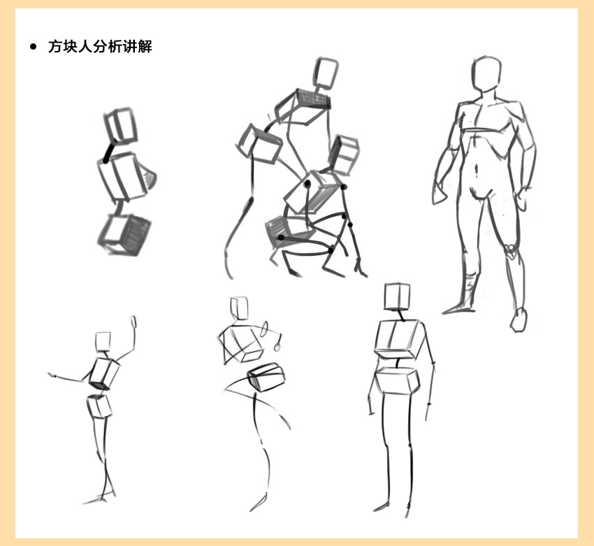 人体结构系统教程，全面掌握人体结构，夯实绘画基础_系统全面的平面设计培训、自学教程推荐,尽在平面设计学习日记网(www.xxriji.cn)