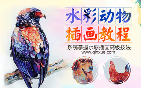 水彩动物插画教程